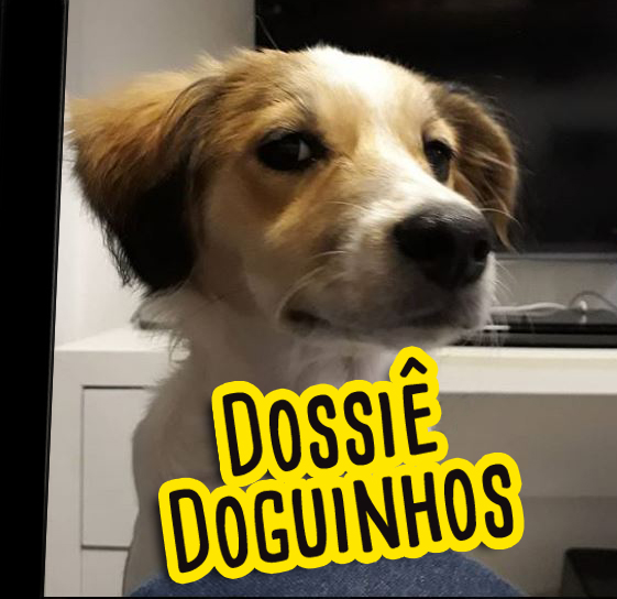 5 animais que vão te dar vontade de chorar… de tão feios